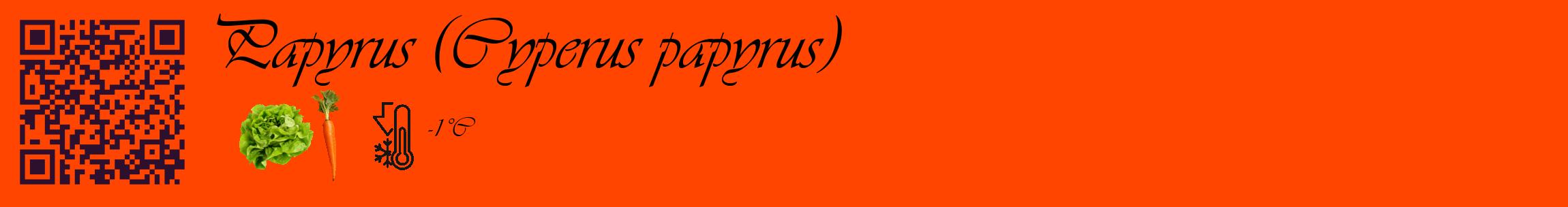 Étiquette de : Cyperus papyrus - format c - style noire26_basique_basiqueviv avec qrcode et comestibilité simplifiée