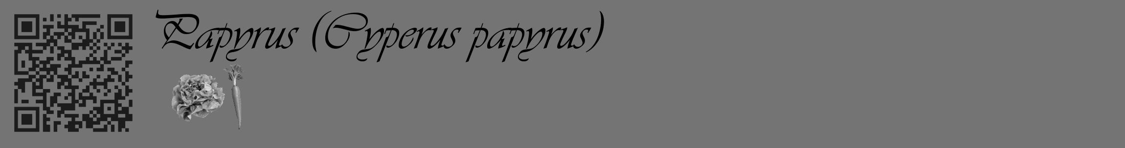 Étiquette de : Cyperus papyrus - format c - style noire26_basique_basiqueviv avec qrcode et comestibilité simplifiée