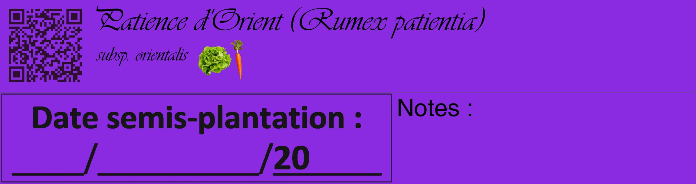 Étiquette de : Rumex patientia subsp. orientalis - format c - style noire49_basique_basiqueviv avec qrcode et comestibilité simplifiée
