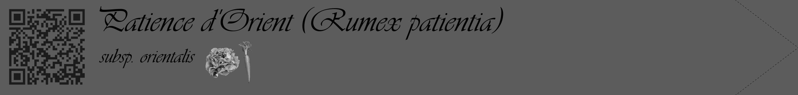Étiquette de : Rumex patientia subsp. orientalis - format c - style noire49_simple_simpleviv avec qrcode et comestibilité simplifiée
