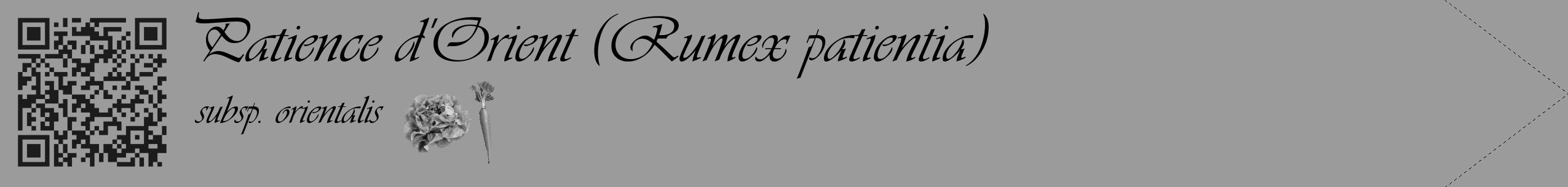 Étiquette de : Rumex patientia subsp. orientalis - format c - style noire52_simple_simpleviv avec qrcode et comestibilité simplifiée