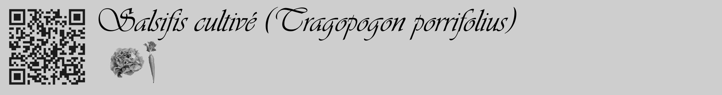 Étiquette de : Tragopogon porrifolius - format c - style noire17_basique_basiqueviv avec qrcode et comestibilité simplifiée