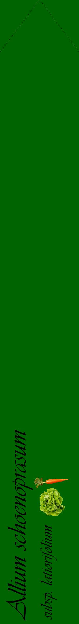 Étiquette de : Allium schoenoprasum subsp. latiorifolium - format c - style noire8_simpleviv avec comestibilité simplifiée