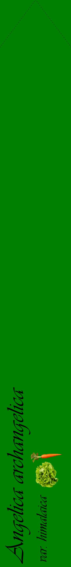 Étiquette de : Angelica archangelica var. himalaica - format c - style noire9_simpleviv avec comestibilité simplifiée