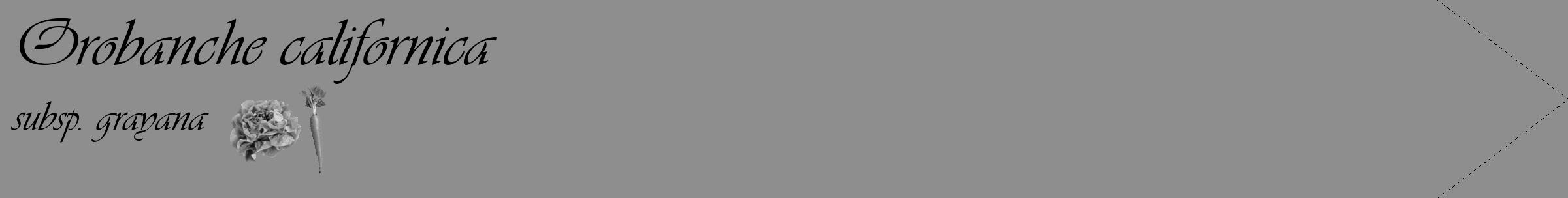 Étiquette de : Orobanche californica subsp. grayana - format c - style noire25_simple_simpleviv avec comestibilité simplifiée
