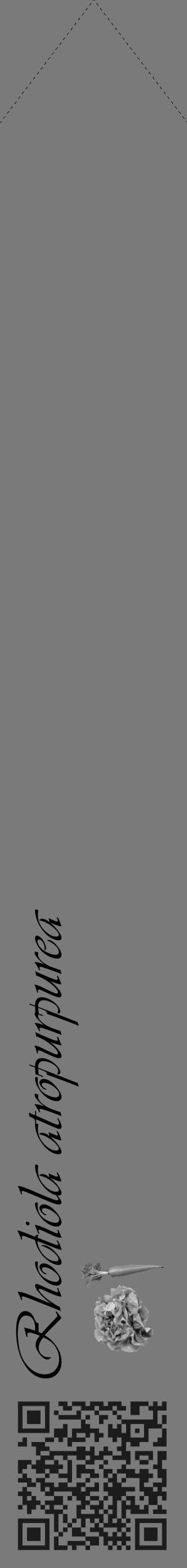Étiquette de : Rhodiola atropurpurea - format c - style noire3_simple_simpleviv avec qrcode et comestibilité simplifiée - position verticale
