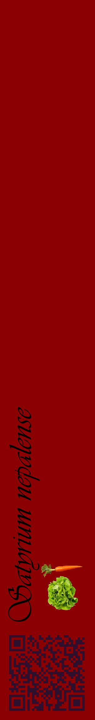 Étiquette de : Satyrium nepalense - format c - style noire34_basiqueviv avec qrcode et comestibilité simplifiée