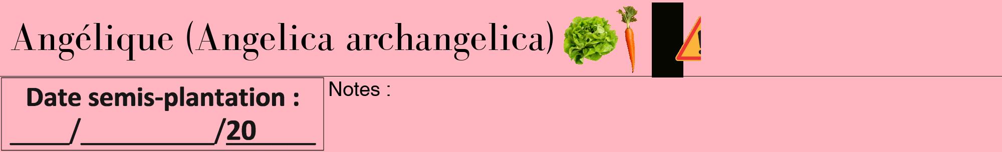 Étiquette de : Angelica archangelica - format a - style noire41bod avec comestibilité simplifiée