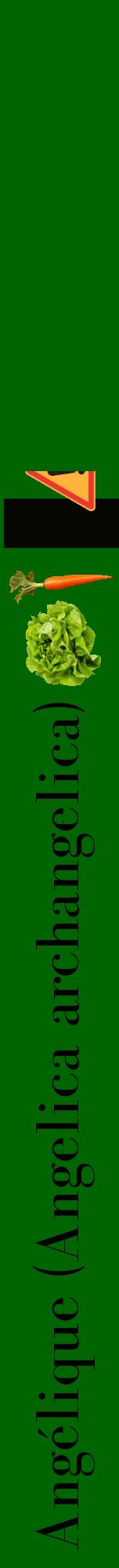 Étiquette de : Angelica archangelica - format a - style noire8bod avec comestibilité simplifiée