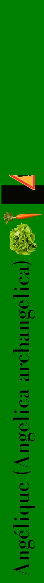 Étiquette de : Angelica archangelica - format a - style noire9bod avec comestibilité simplifiée