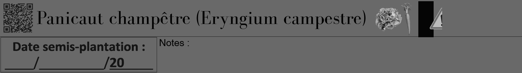 Étiquette de : Eryngium campestre - format a - style noire51bod avec qrcode et comestibilité simplifiée