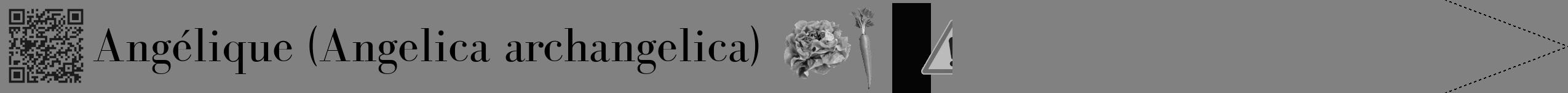 Étiquette de : Angelica archangelica - format b - style noire50bod avec qrcode et comestibilité simplifiée