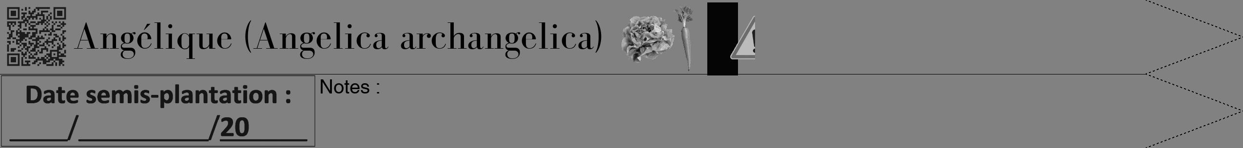 Étiquette de : Angelica archangelica - format b - style noire50bod avec qrcode et comestibilité simplifiée