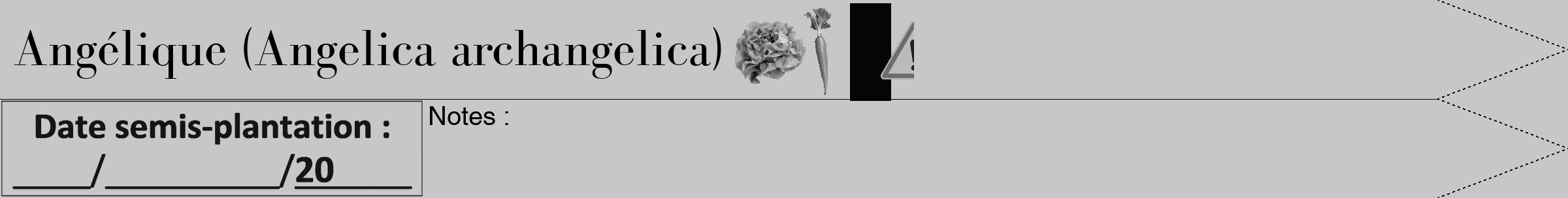 Étiquette de : Angelica archangelica - format b - style noire15bod avec comestibilité simplifiée