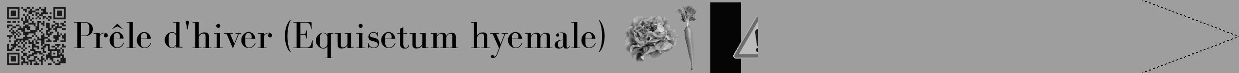 Étiquette de : Equisetum hyemale - format b - style noire23bod avec qrcode et comestibilité simplifiée