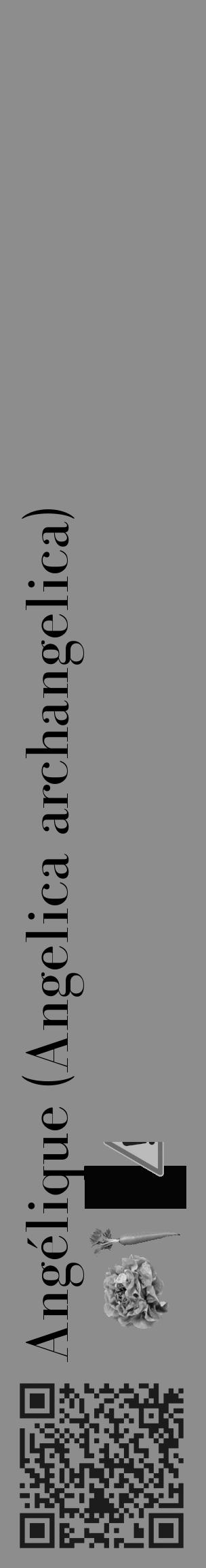 Étiquette de : Angelica archangelica - format c - style noire2_basique_basiquebod avec qrcode et comestibilité simplifiée - position verticale