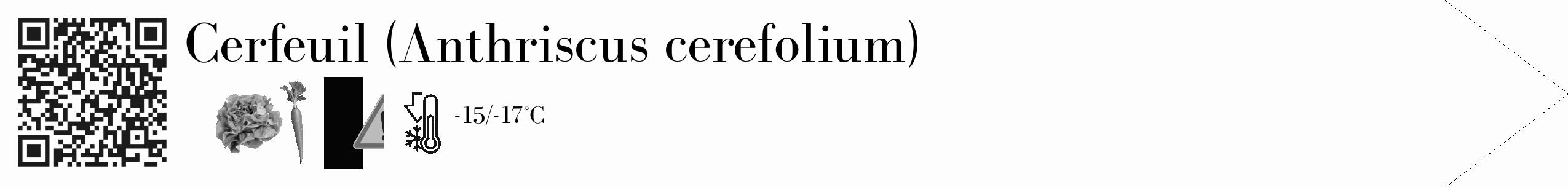 Étiquette de : Anthriscus cerefolium - format c - style noire19_simple_simplebod avec qrcode et comestibilité simplifiée