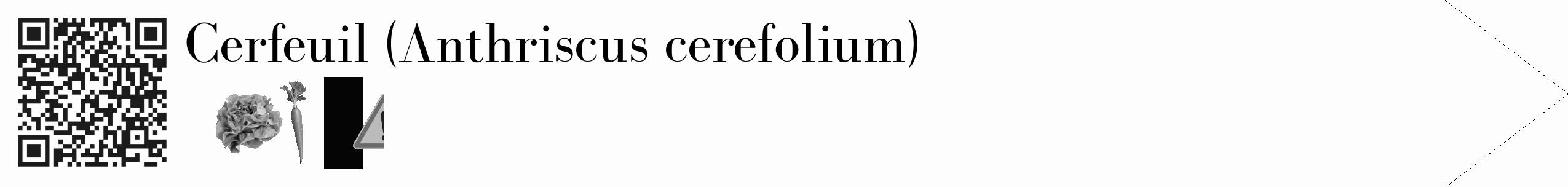 Étiquette de : Anthriscus cerefolium - format c - style noire19_simple_simplebod avec qrcode et comestibilité simplifiée