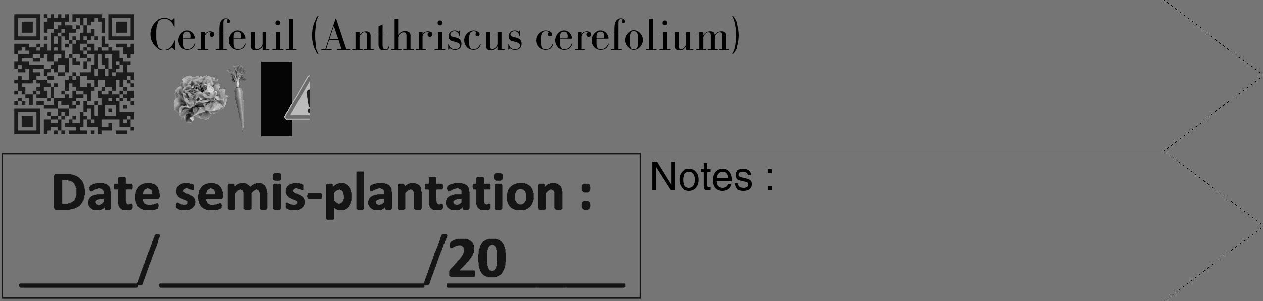 Étiquette de : Anthriscus cerefolium - format c - style noire5_simple_simplebod avec qrcode et comestibilité simplifiée