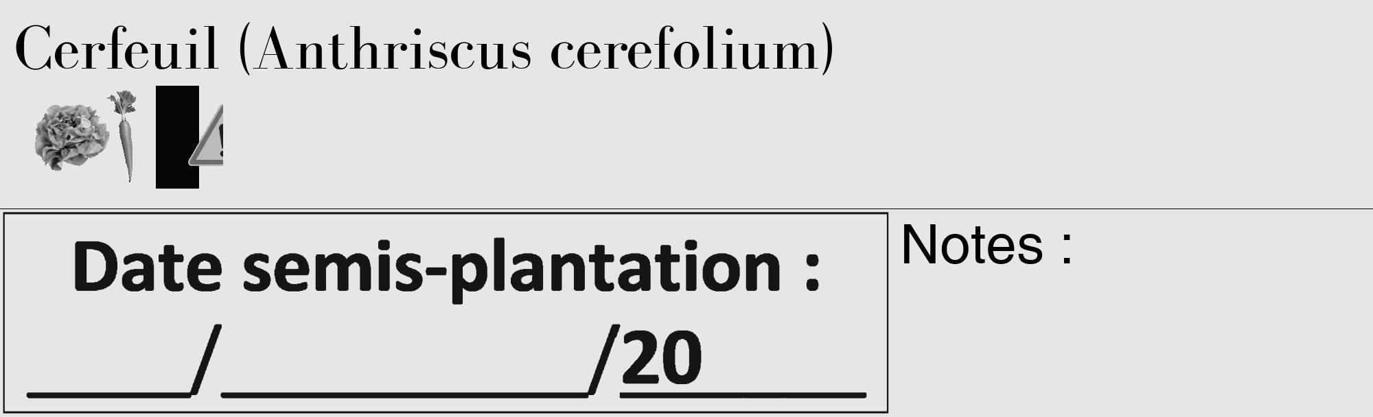 Étiquette de : Anthriscus cerefolium - format c - style noire18_basique_basiquebod avec comestibilité simplifiée