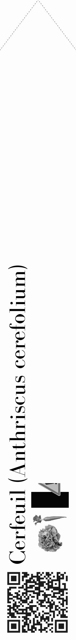 Étiquette de : Anthriscus cerefolium - format c - style noire19_simple_simplebod avec qrcode et comestibilité simplifiée - position verticale