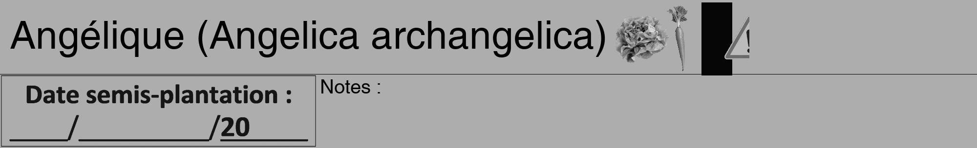 Étiquette de : Angelica archangelica - format a - style noire22hel avec comestibilité simplifiée