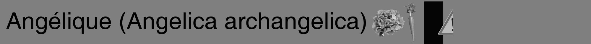 Étiquette de : Angelica archangelica - format a - style noire57hel avec comestibilité simplifiée