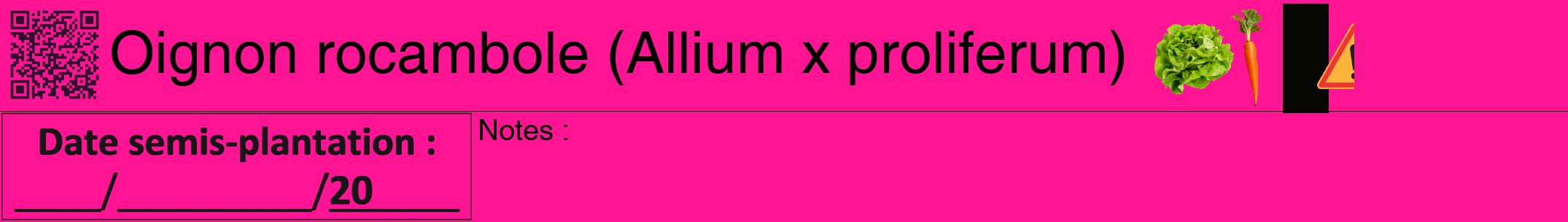 Étiquette de : Allium x proliferum - format a - style noire43hel avec qrcode et comestibilité simplifiée