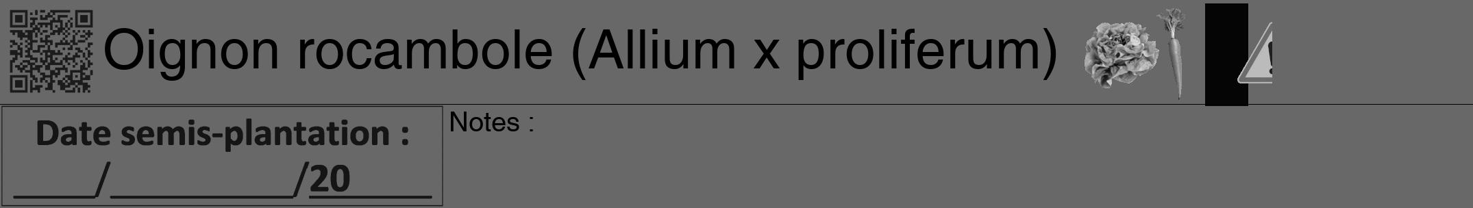 Étiquette de : Allium x proliferum - format a - style noire43hel avec qrcode et comestibilité simplifiée