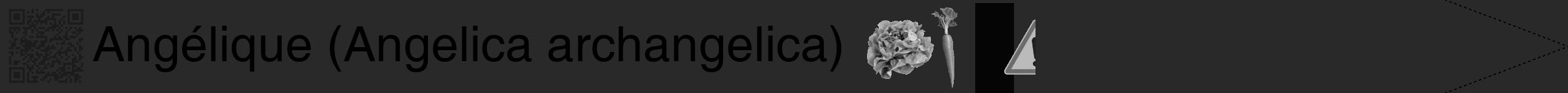 Étiquette de : Angelica archangelica - format b - style noire34simplehel avec qrcode et comestibilité simplifiée