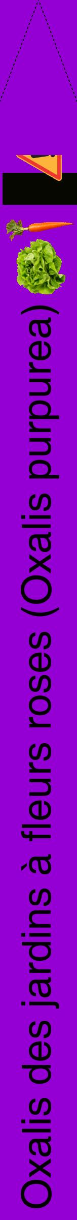 Étiquette de : Oxalis purpurea - format b - style noire48hel avec comestibilité simplifiée