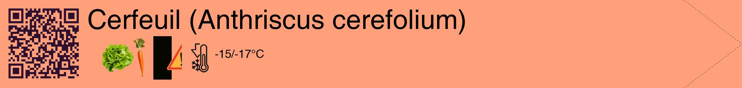 Étiquette de : Anthriscus cerefolium - format c - style noire39_simple_simplehel avec qrcode et comestibilité simplifiée
