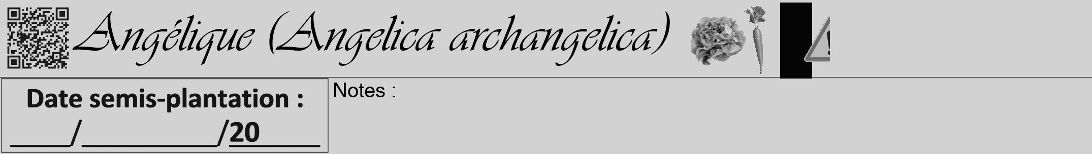 Étiquette de : Angelica archangelica - format a - style noire14viv avec qrcode et comestibilité simplifiée