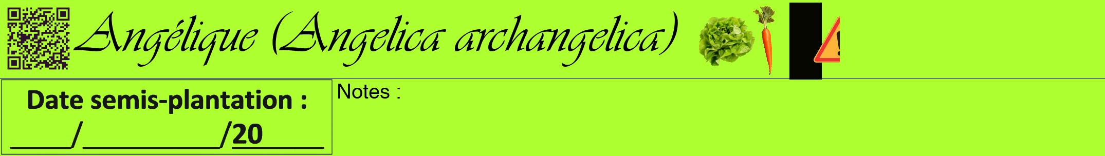 Étiquette de : Angelica archangelica - format a - style noire17viv avec qrcode et comestibilité simplifiée