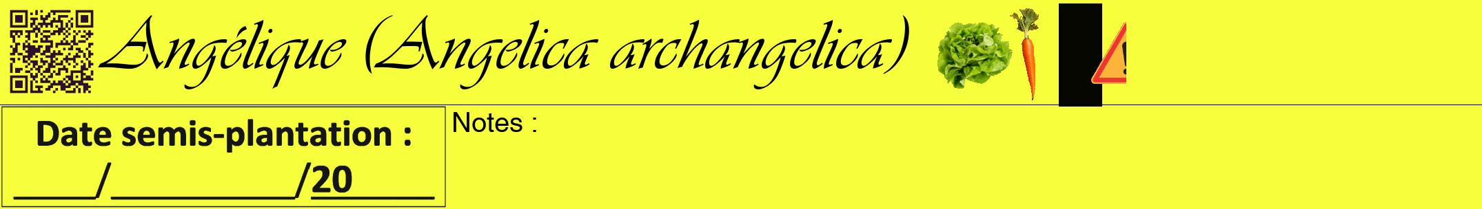 Étiquette de : Angelica archangelica - format a - style noire18viv avec qrcode et comestibilité simplifiée