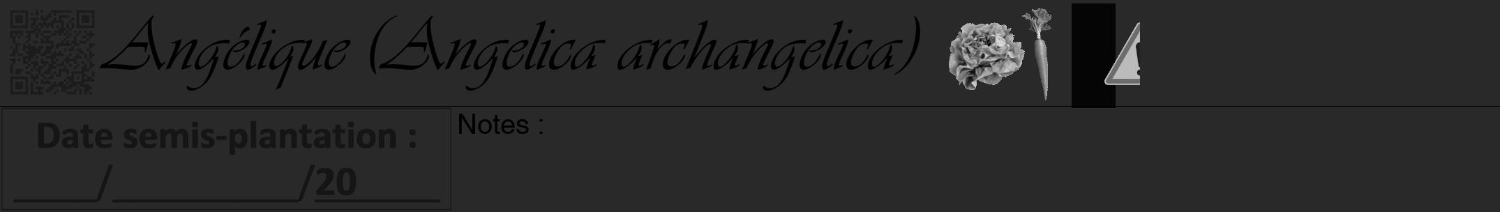 Étiquette de : Angelica archangelica - format a - style noire34simpleviv avec qrcode et comestibilité simplifiée