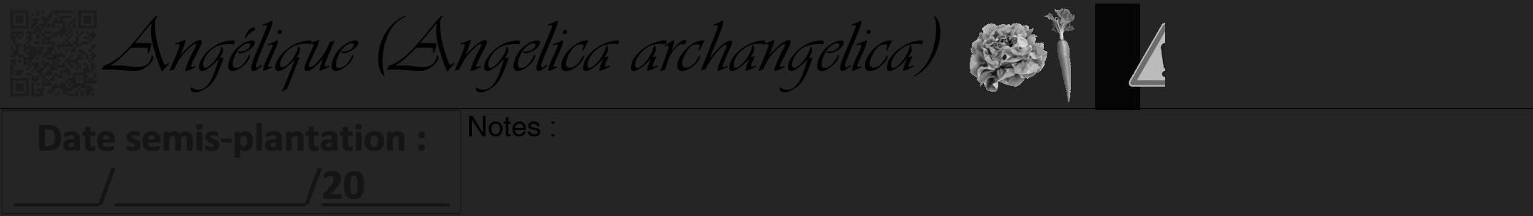 Étiquette de : Angelica archangelica - format a - style noire47viv avec qrcode et comestibilité simplifiée