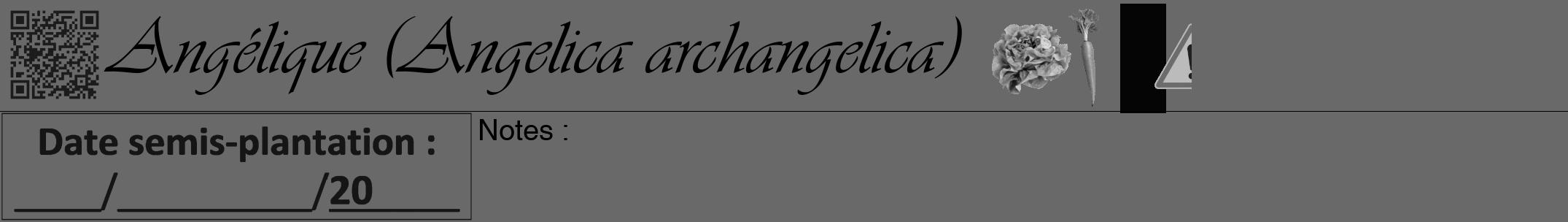 Étiquette de : Angelica archangelica - format a - style noire51viv avec qrcode et comestibilité simplifiée