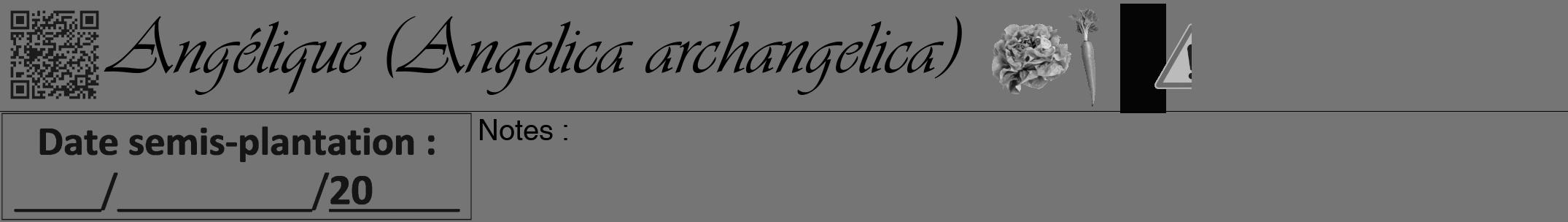 Étiquette de : Angelica archangelica - format a - style noire5viv avec qrcode et comestibilité simplifiée