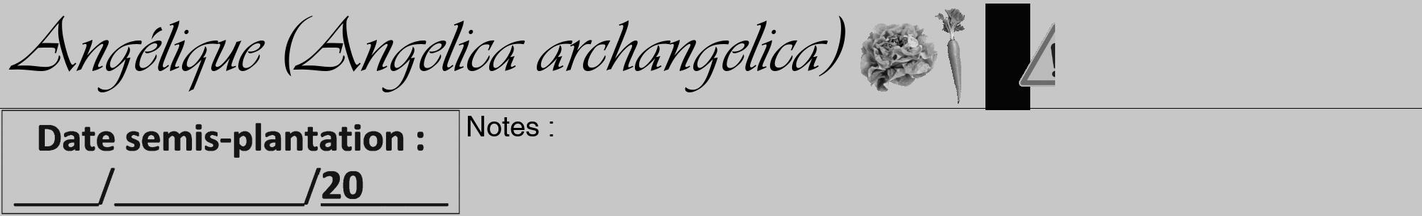Étiquette de : Angelica archangelica - format a - style noire15viv avec comestibilité simplifiée