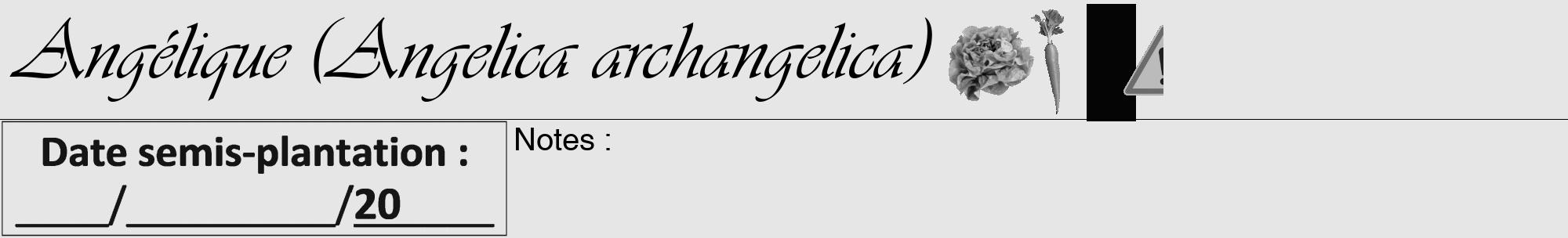 Étiquette de : Angelica archangelica - format a - style noire18viv avec comestibilité simplifiée