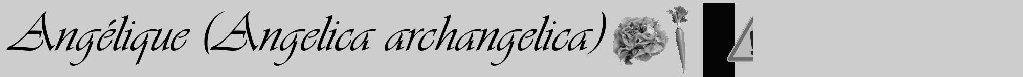 Étiquette de : Angelica archangelica - format a - style noire41viv avec comestibilité simplifiée