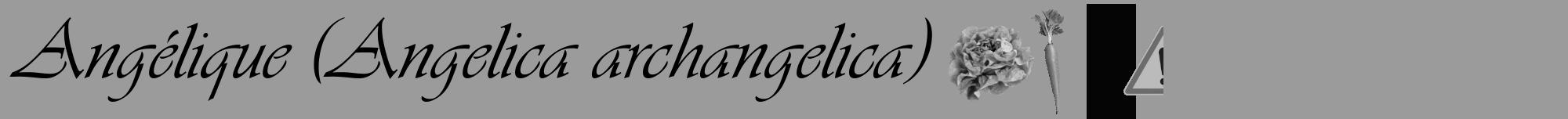 Étiquette de : Angelica archangelica - format a - style noire52viv avec comestibilité simplifiée