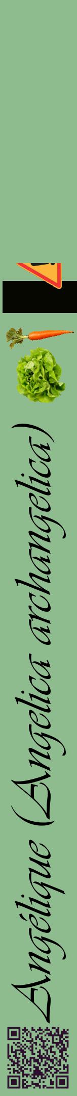 Étiquette de : Angelica archangelica - format a - style noire13viv avec qrcode et comestibilité simplifiée