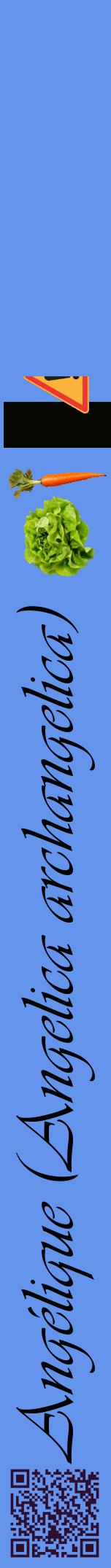 Étiquette de : Angelica archangelica - format a - style noire4viv avec qrcode et comestibilité simplifiée
