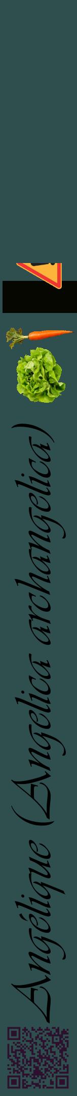 Étiquette de : Angelica archangelica - format a - style noire58viv avec qrcode et comestibilité simplifiée