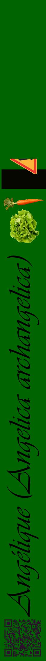 Étiquette de : Angelica archangelica - format a - style noire8viv avec qrcode et comestibilité simplifiée