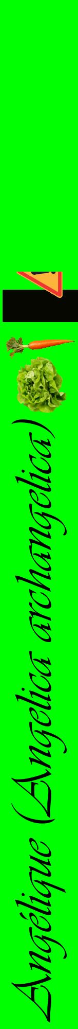 Étiquette de : Angelica archangelica - format a - style noire16viv avec comestibilité simplifiée