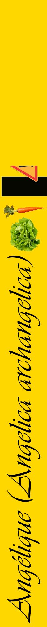 Étiquette de : Angelica archangelica - format a - style noire21viv avec comestibilité simplifiée