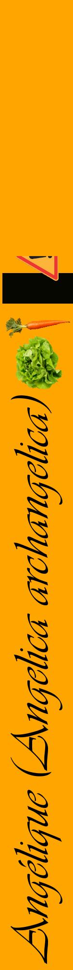 Étiquette de : Angelica archangelica - format a - style noire22viv avec comestibilité simplifiée
